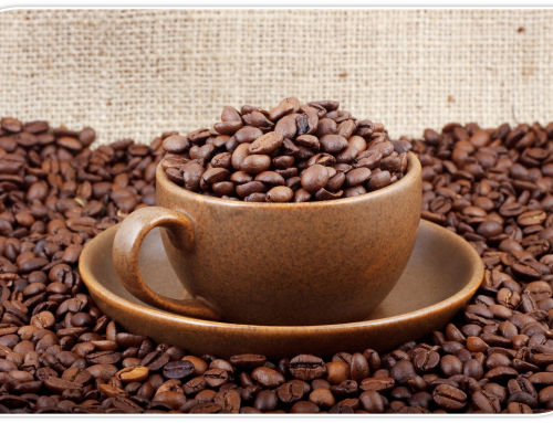 Кофе арабика — свойства, описание.