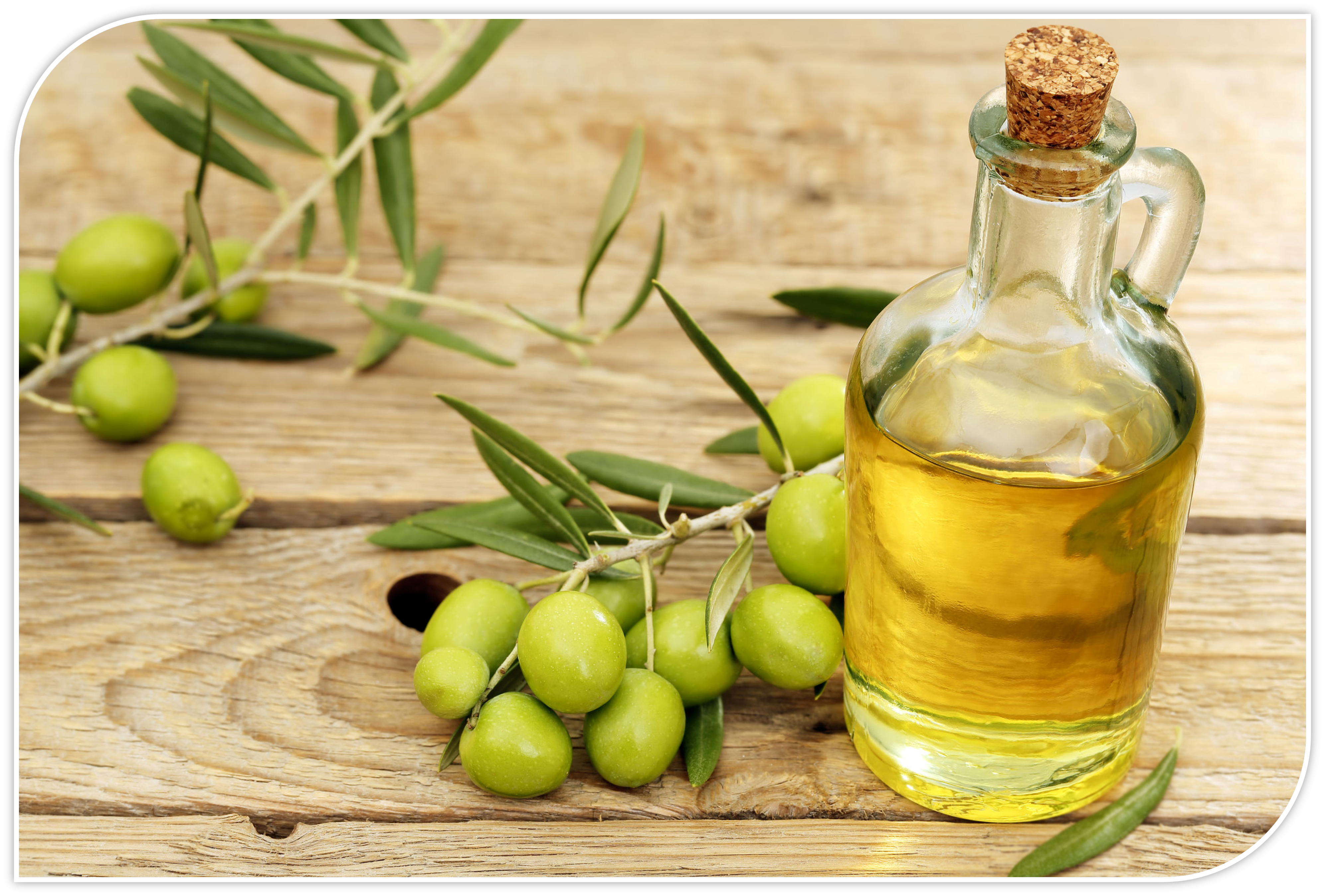 Оливковое масло, свойства